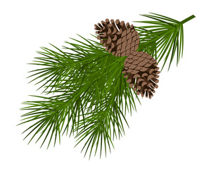 Christmas tree branch with a cone vector illustration