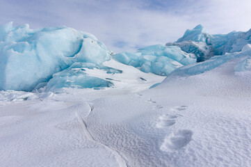 Polar bear tracks in the snow in front of an iceberg on Spitsbergen