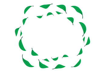 folata di vento, foglie verdi,  foglia