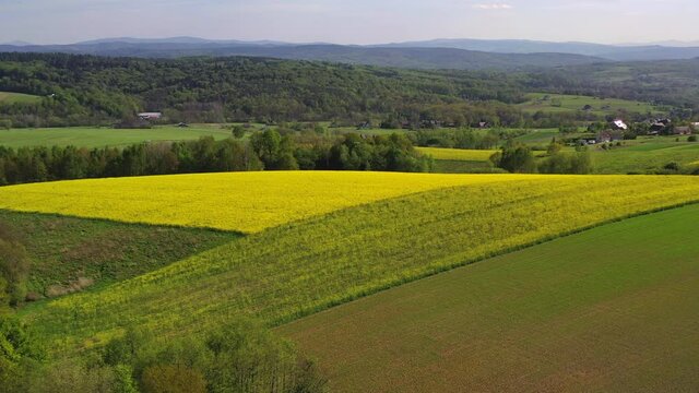 Scenic Aerial View Of Multiple Crops On Farm With Village And Forest Near Horizon. 