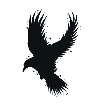 Crow with grunge effect isolated on white. Vector illustration.
