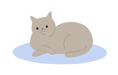Cute cartoon gray cat lying on carpet vector flat illustration. Adorable domestic animal relaxing on floor isolated on white background. Funny pet colorful furry friend with tail