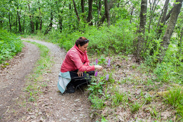 Naklejka na ściany i meble Woman hiker enjoy wildflowers in the forest on spring day in nature.