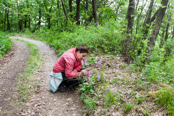 Woman hiker enjoy wildflowers in the forest on spring day in nature.