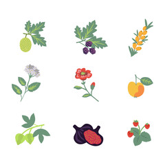 Rosales plants set