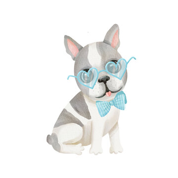 Watercolor illustration of a funny dog. Popular dog breed. Dog Boston Terrier Cute illustration on white background isolated. High quality illustration