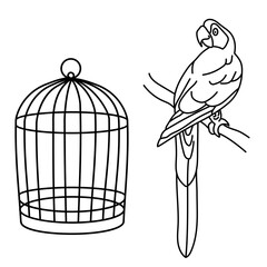 Outline drawing. Macaw parrot and cage. Line. Paint