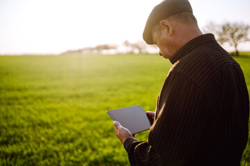 Farmer on a green wheat field with a tablet in his hands. Smart farm. Farmer checking his crops on an agriculture field. Ripening ears of wheat field. The concept of the agricultural business.