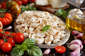 Fresh raw  italian pasta orecchiette, vegetables, herbs and olive oil