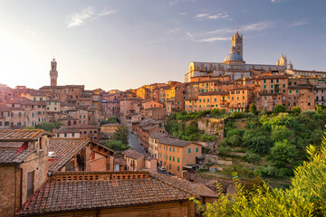 Fototapeta na wymiar Siena. Aerial cityscape image of medieval city of Siena, Italy during sunset.