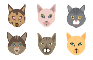 Set of cute cats. Funny doodle animals. Kittens in cartoon style. Vector illustration