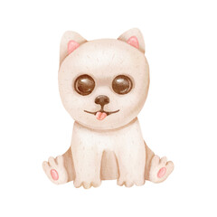 Illustration of handsome dog isolated on white background. Mittel German Spitz. Small Dog Breeds. Realistic Hand drawing of a puppy. Animal art collection. Design template. Good for pet shop, T-shirt