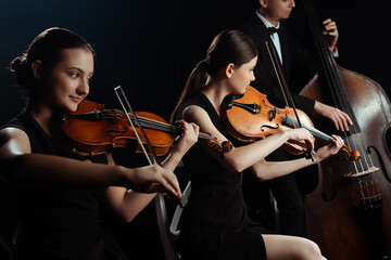 trio of musicians playing on double bass and violins isolated on black