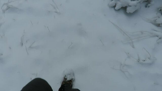 Caminar por la nieve