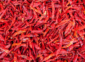 Dried red hot chili peppers