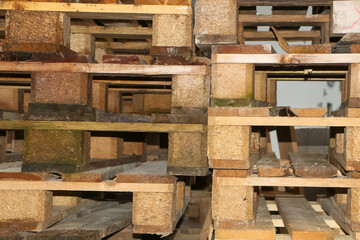 Stapel mit Europaletten, Holzpaletten, Transportpaletten