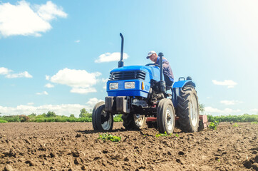 Obraz premium The farmer works on a tractor. Loosening the surface, cultivating the land for further planting. Cultivation technology equipment. Grinding and loosening soil, removing plants roots from last harvest.