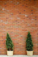 vertical brick wall with flower pots