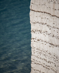 the white cliffs of dover