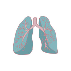 Color Sketch style Lungs image on a white background