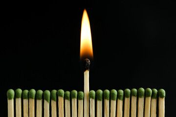 Burning match among unlit ones on black background, closeup