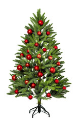 Fototapeta na wymiar Christmas Tree isolated