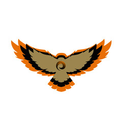 Hawk with wings spreaded
