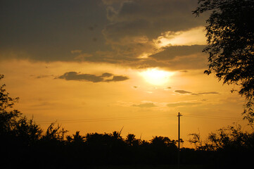 sunset over the field