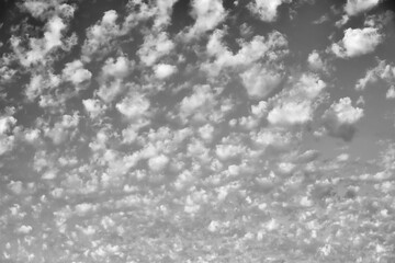 Clouds on a background sky in shades of gray.