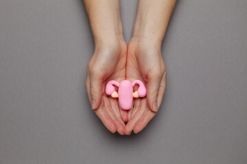 Treatment and prevention of the uterus. The concept of caring for the reproductive system of women,...