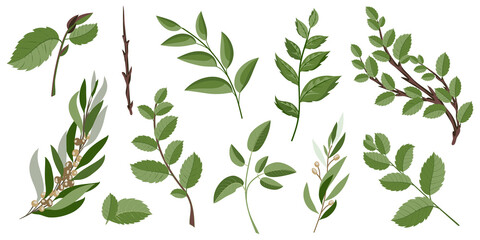 decorative branches and leaves