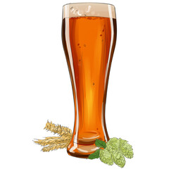 Glass of beer and hop