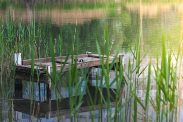 Pond in a city park with a bridge for fishermen. Reflection of houses in the water of a lake or river.
