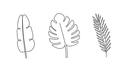 Leaf line art. Abstract plant illustration on white background.