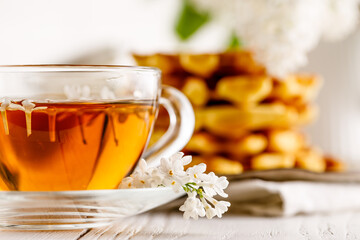 Breakfast Belgian waffles with chocolate syrup and fresh mint. White background.