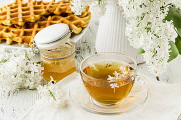 Breakfast Belgian waffles with chocolate syrup and fresh mint. White background.