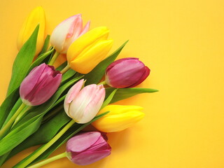 Obraz premium bouquet of multicolored tulips on yellow background