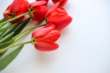 postcard mockup. bouquet of red tulips and space for text. congratulation. invitation