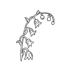 Lily of the valley flower drawing illustration. Doodle style. Black and white with a linear pattern on a white background. Isolated vector. Spring flower for design and invitations.