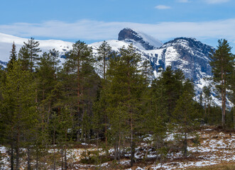 Szczyt górski w okolicy Hemsedal, góry skandynawskie 