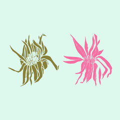 Leaves and plants hand drawn flat illustration. Botanical design elements. Vector sketch clip art set.