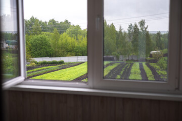 open window and garden outside the window of a private house