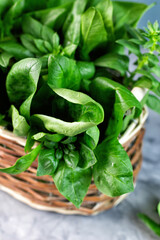 Young green spinach leaves in a wicker basket. Close up.