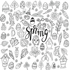 A large set of spring Botanical elements in the vector. Floral design elements in the Doodle sketch style. Cute birds, birdhouses and beetles Easter eggs. For invitations, postcards, and design.