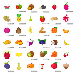 fruit flat icon set, with watermelon, melon, apple, peach, grapes, coconut, orange, kiwi, mango