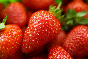 Macro photo of ripe red strawberries on a background.