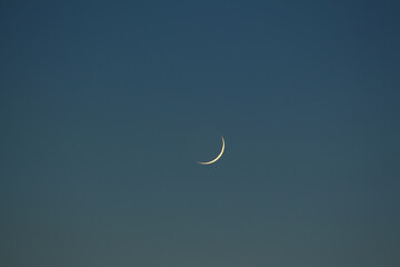 Photo of a new moon with the ashen light of the moon in the blue evening sky.
