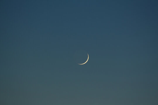 Photo of a new moon with the ashen light of the moon in the blue evening sky.