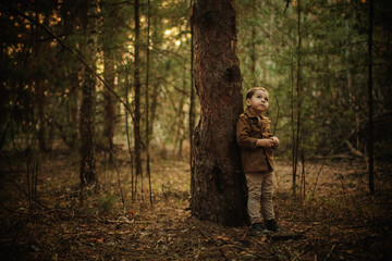 Fototapeta na wymiar Adorable little boy hiking in the forest on summer day