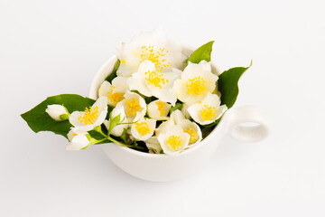 Jasmine flowers whith cup of tea on white background. Space for text